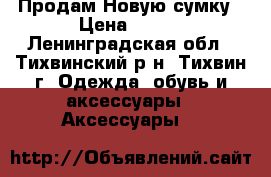 Продам Новую сумку › Цена ­ 500 - Ленинградская обл., Тихвинский р-н, Тихвин г. Одежда, обувь и аксессуары » Аксессуары   